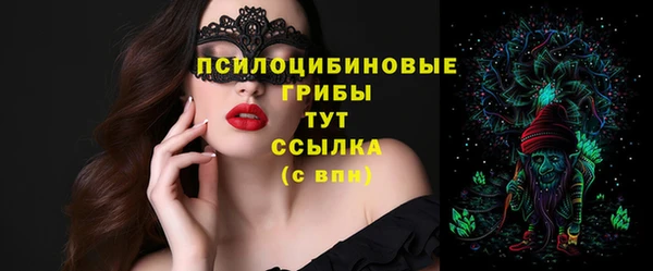 винт Армянск