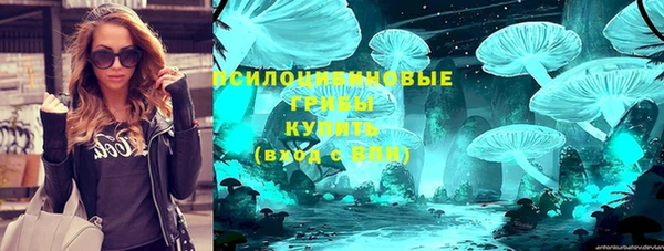 винт Армянск