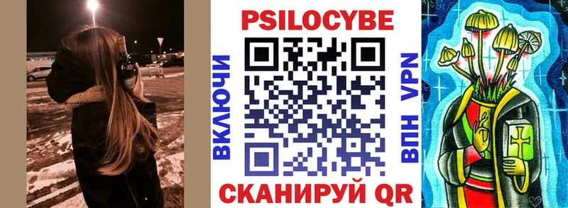 Псилоцибиновые грибы Psilocybe Тырныауз